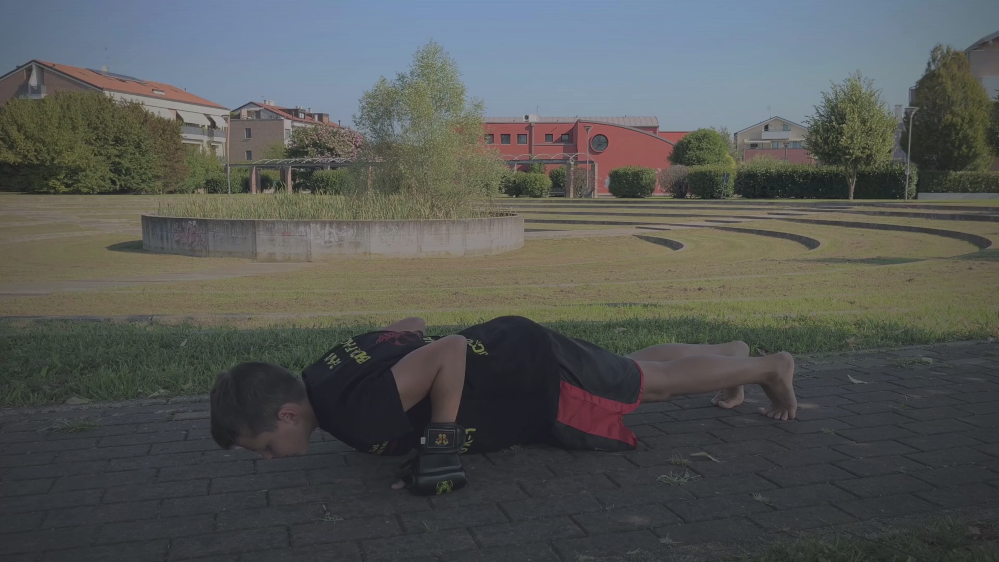 Carica il video: